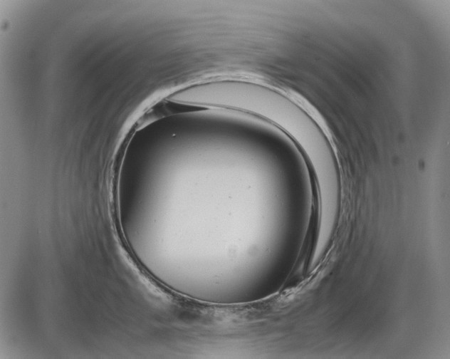 X0000085211005200703231502