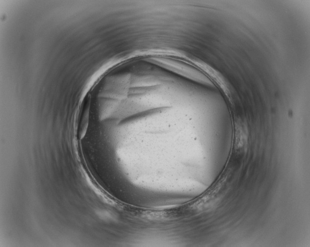 X0000085211006200703231502