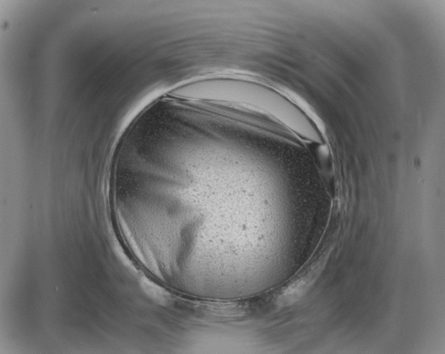 X0000085211007200703231502