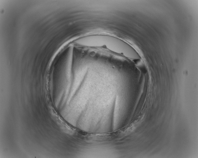 X0000085211008200703231502