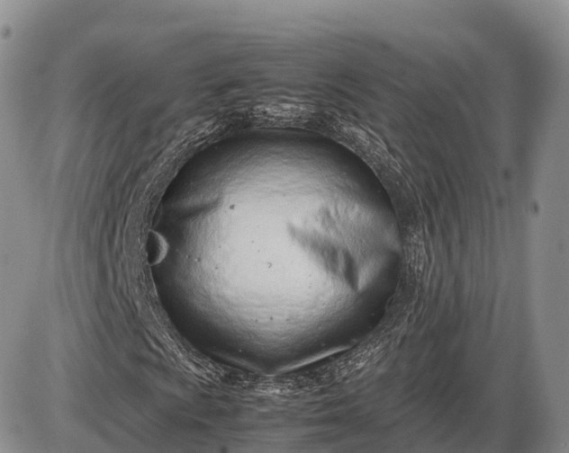 X0000085211009200703231501