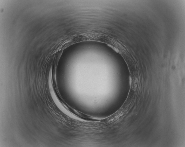 X0000085211010200703231501