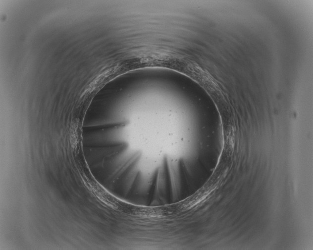 X0000085211012200703231501