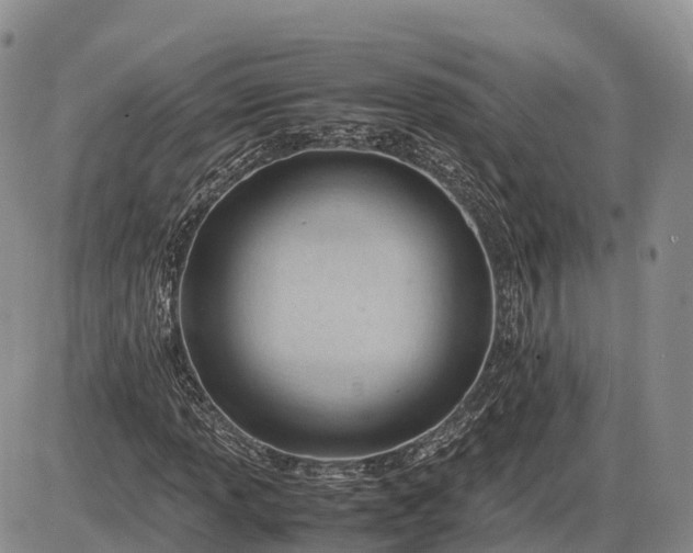 X0000085211013200703231501