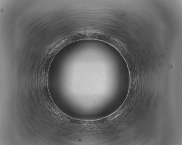 X0000085211014200703231501