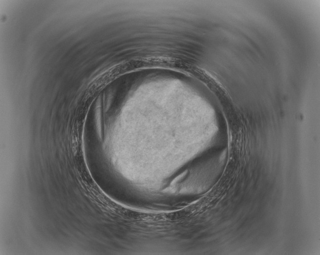 X0000085211015200703231501