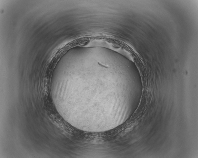 X0000085211016200703231501