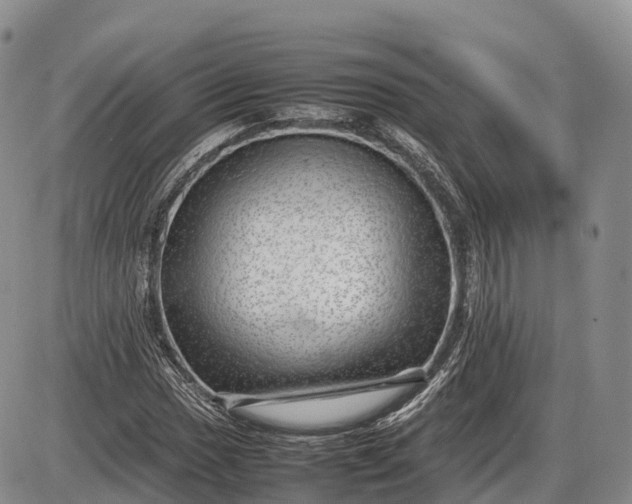 X0000085211017200703231501