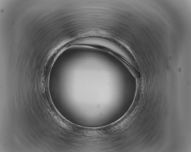 X0000085211018200703231501