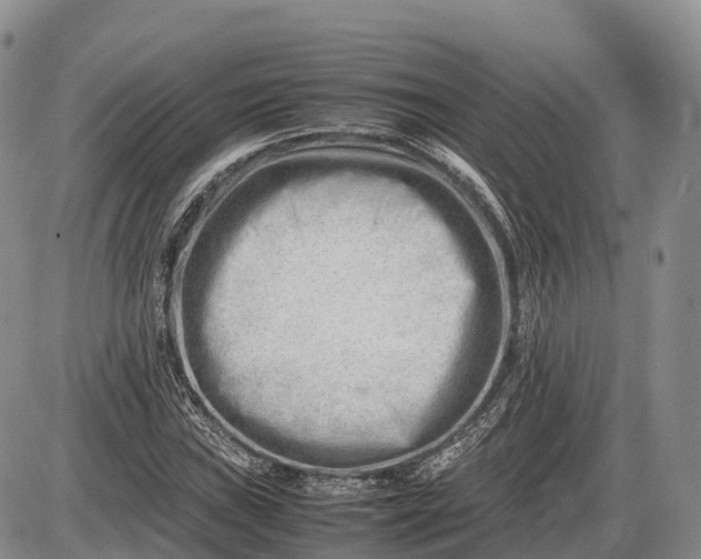 X0000085211019200703231501