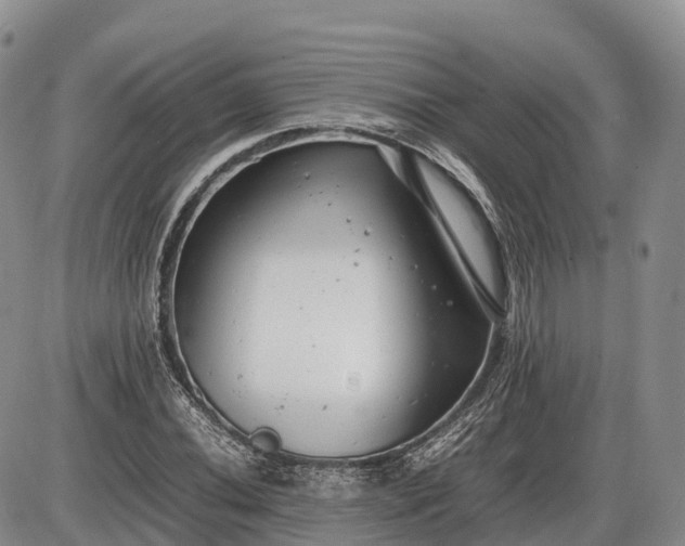 X0000085211020200703231501