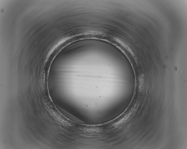 X0000085211021200703231501