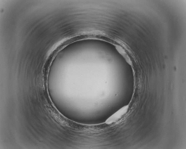 X0000085211022200703231501