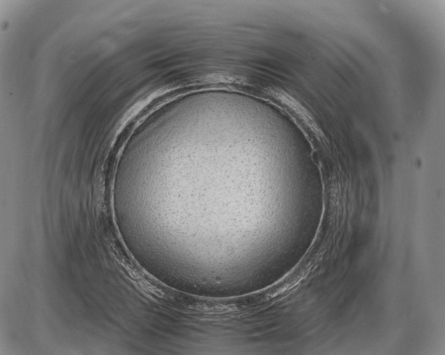 X0000085211023200703231501