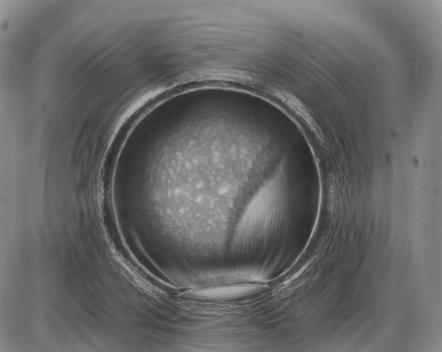 X0000085211024200703231501