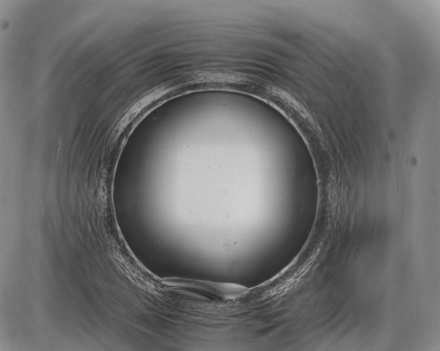 X0000085211025200703231501