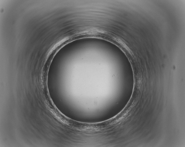 X0000085211026200703231501