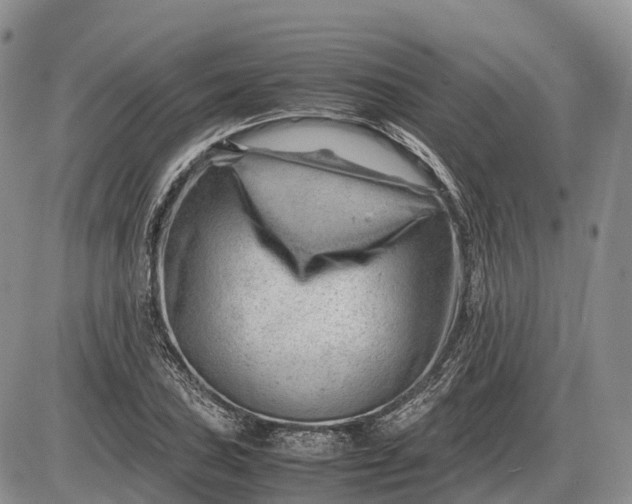 X0000085211027200703231501