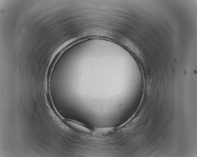 X0000085211028200703231501