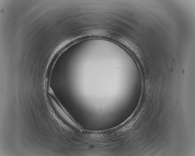 X0000085211029200703231501