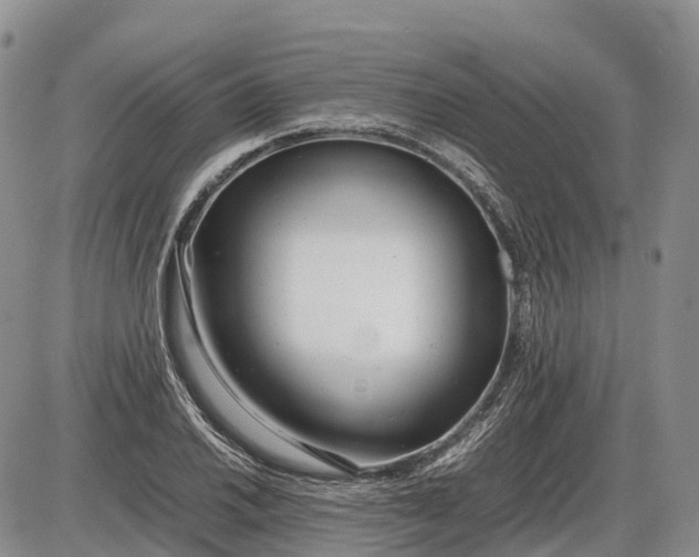 X0000085211030200703231501