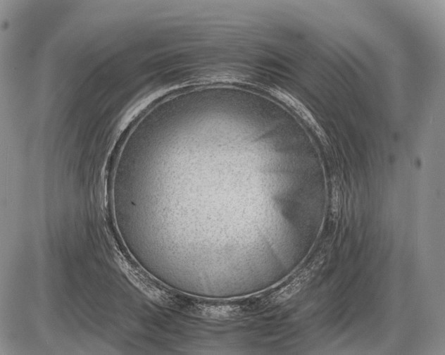 X0000085211031200703231502