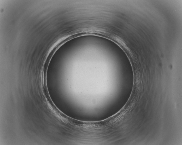 X0000085211032200703231502