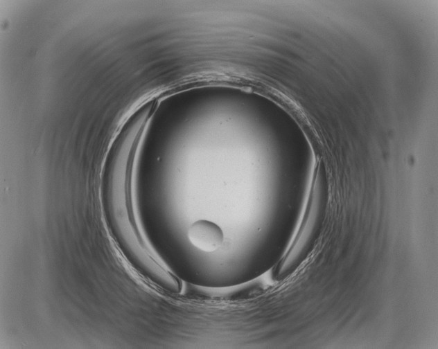 X0000085211034200703231502