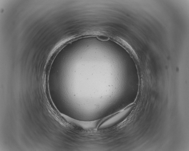 X0000085211035200703231502