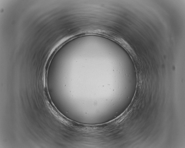 X0000085211036200703231502