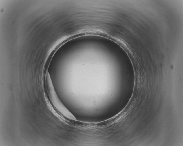 X0000085211038200703231502