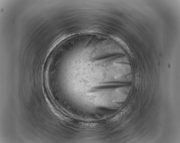 X0000085211039200703231502