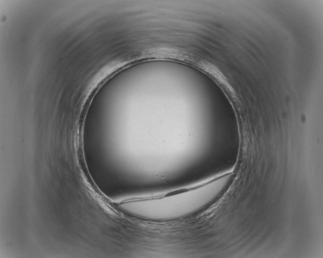 X0000085211040200703231502