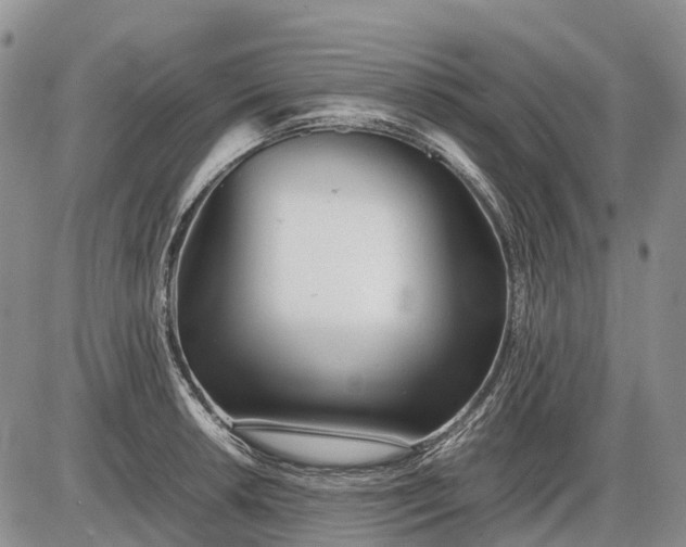 X0000085211042200703231502