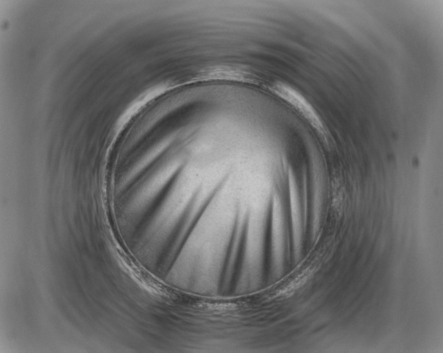 X0000085211043200703231502