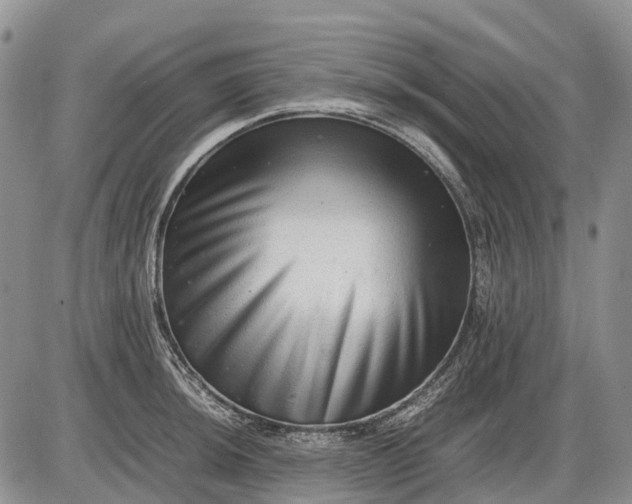 X0000085211044200703231502