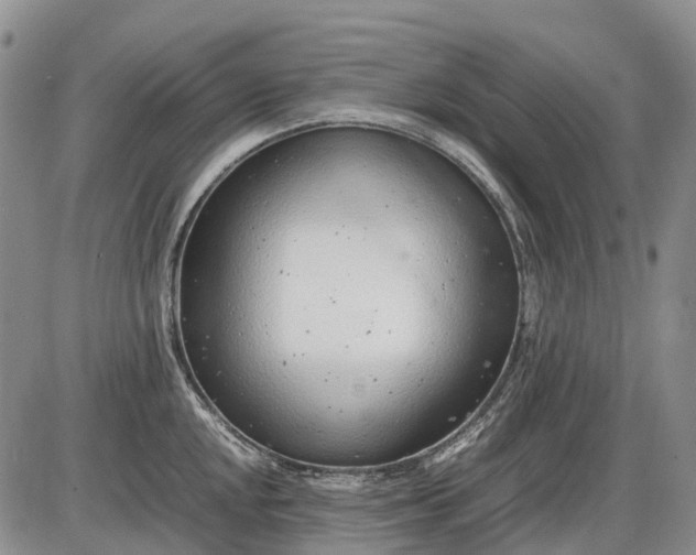 X0000085211048200703231502