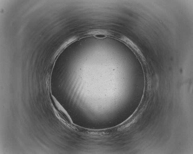 X0000085211049200703231502