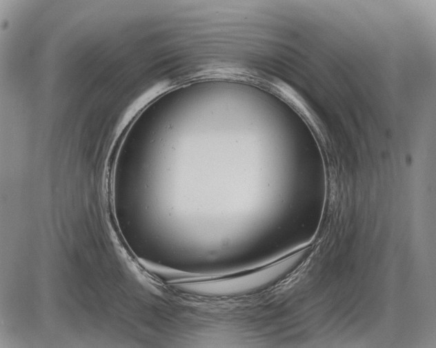 X0000085211050200703231502