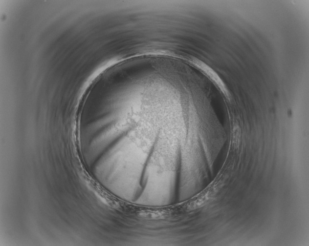 X0000085211051200703231502