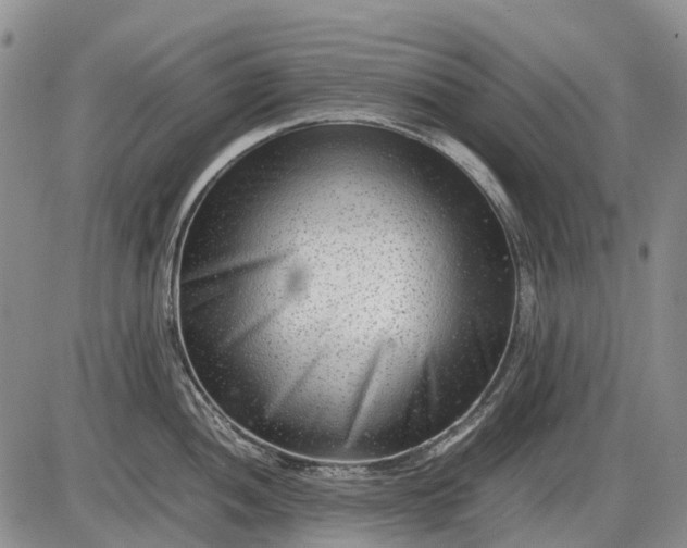 X0000085211052200703231502