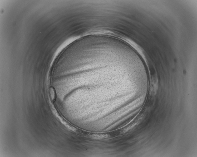 X0000085211053200703231502