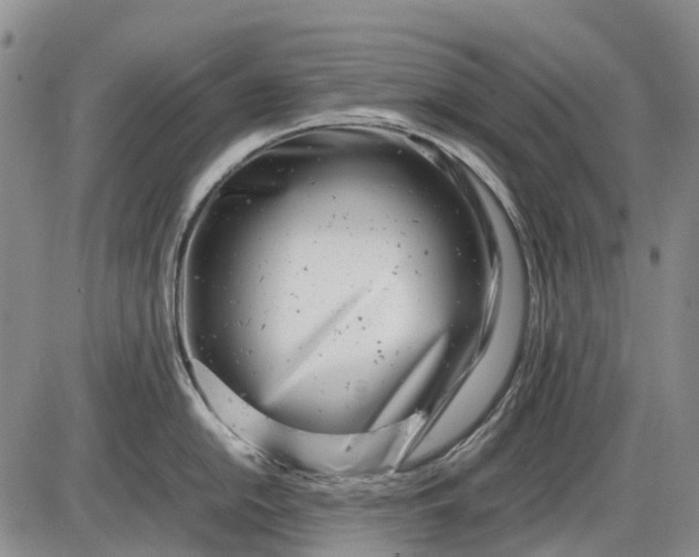 X0000085211054200703231502