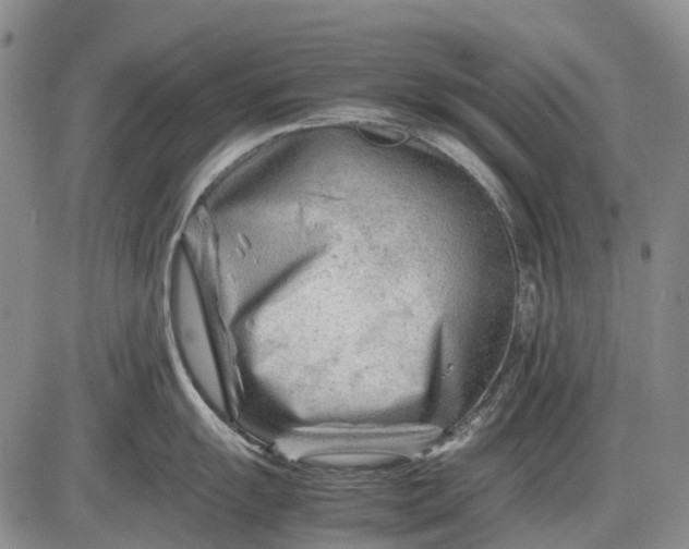 X0000085211055200703231502