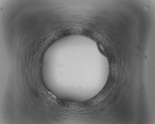 X0000085211057200703231501