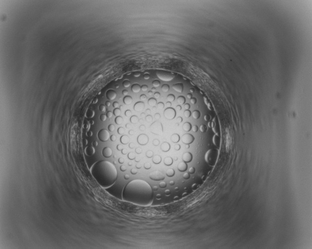 X0000085211059200703231501