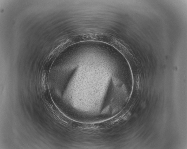 X0000085211060200703231501