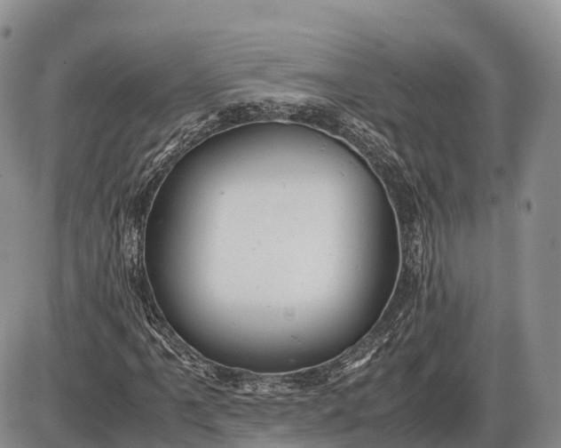 X0000085211061200703231501