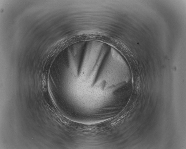 X0000085211062200703231501