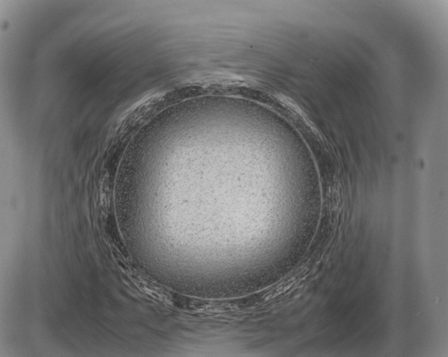 X0000085211063200703231501